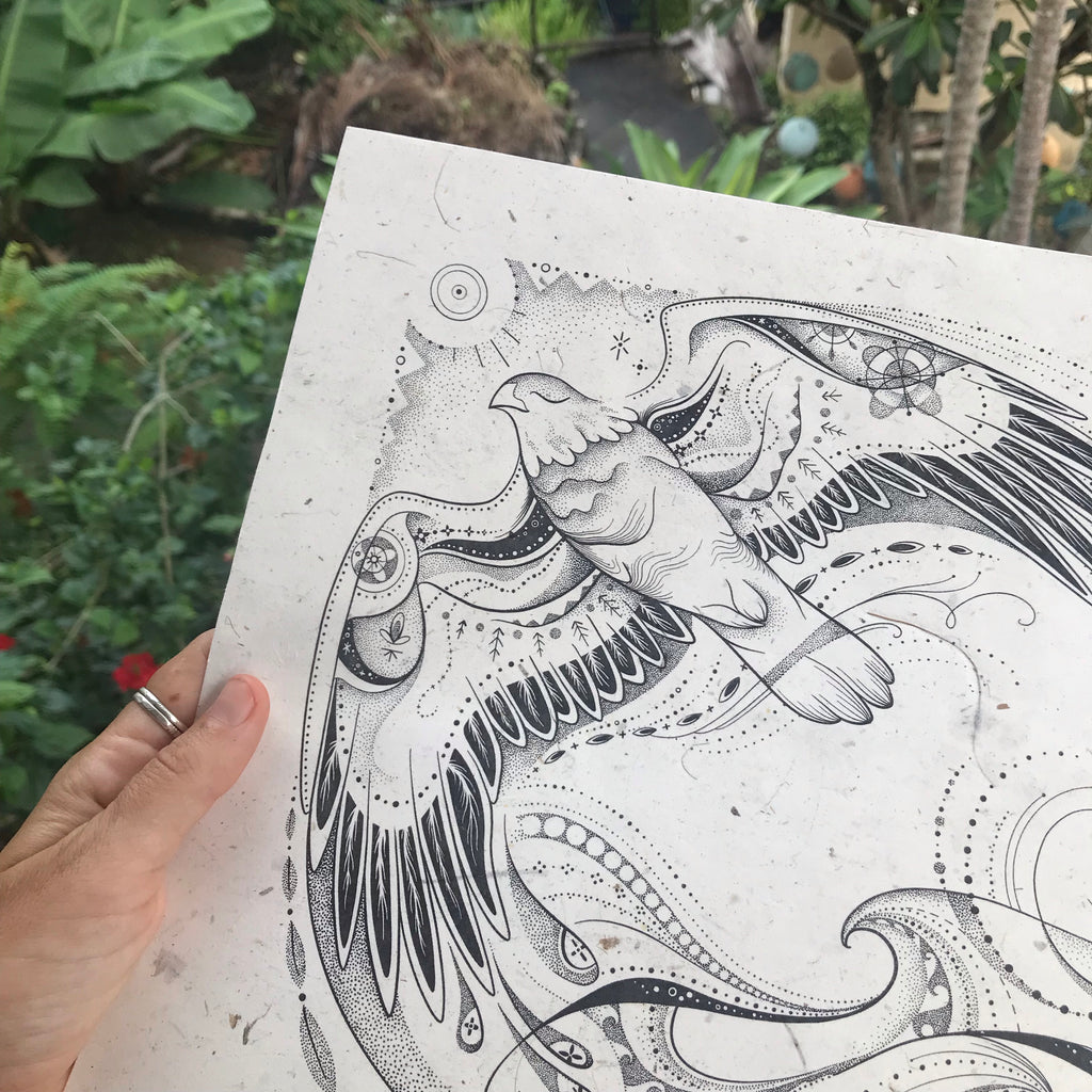 ‘Black Kite’ limited edition print on Elephant Poo Paper